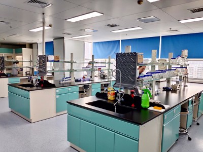 چگونه از بیماری عفونی گربه جلوگیری کنیم؟